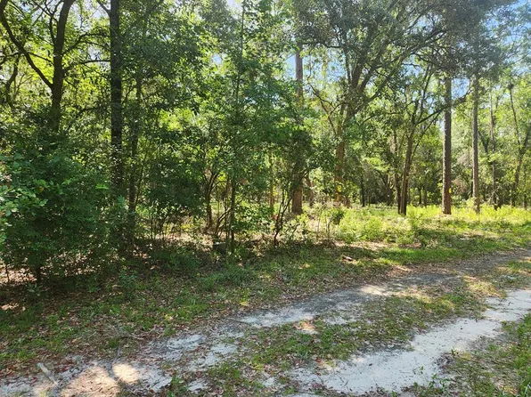 Lot 239 NW 23rd Ave, Jasper, FL 32052