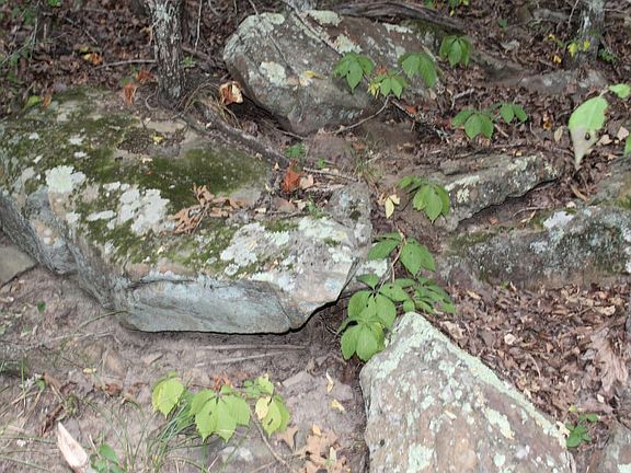 4th image of 1202 Liberty Rd