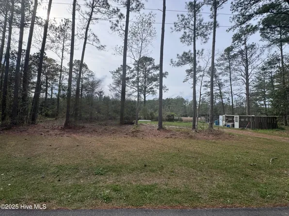 0 Pine Tree Lane, Mesic, NC 28515