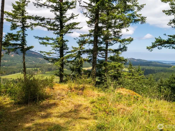 1700 Mountain Crest, Orcas Island, WA 98245