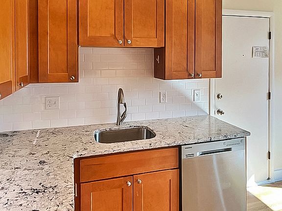 Kitchen Sink and Dishwasher