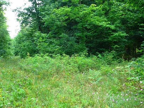 4th image of TBD Custer Ct