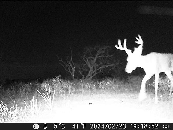 4th image of Comanche Hills Dr