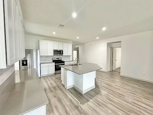 1107 Curly Angora Ct Photo 1