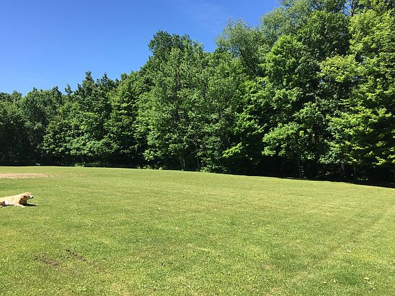 Yard in front of the house