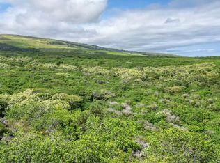 Puka St LOT 128, Naalehu, HI 96772