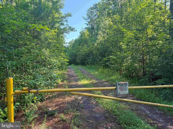 Bannister Town Rd, Louisa, VA 23093