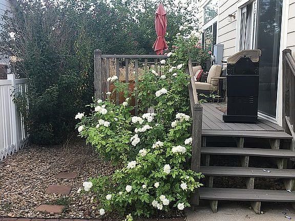 Backyard Facing Back House