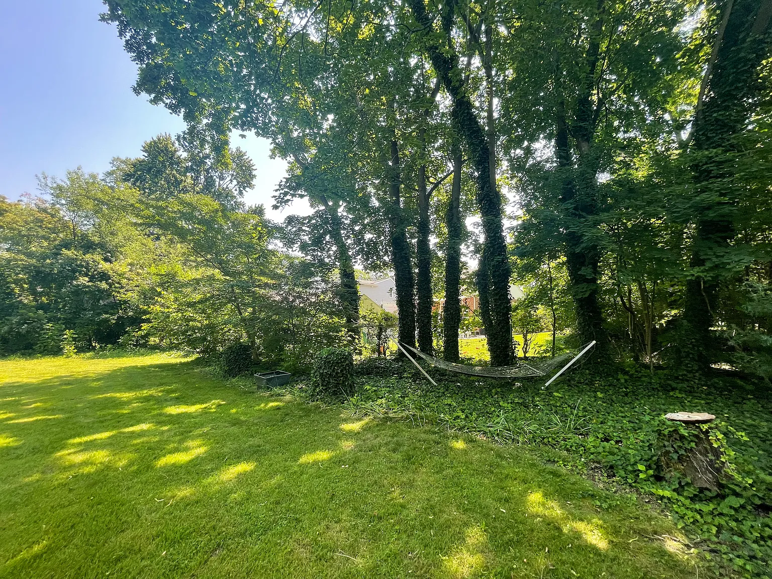 212 Mannion Ave — Photo 3