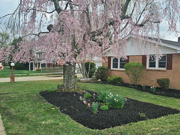 3rd image of 2610 Stephenson Dr