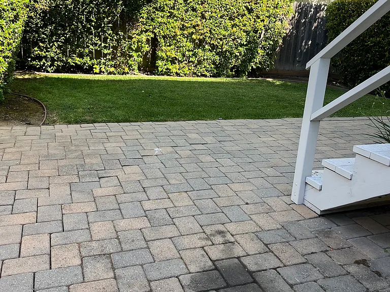 Back Patio