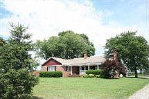 Irvington Horse Farm