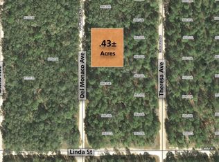 1125 Del Monaco Ave, Florahome, FL 32140