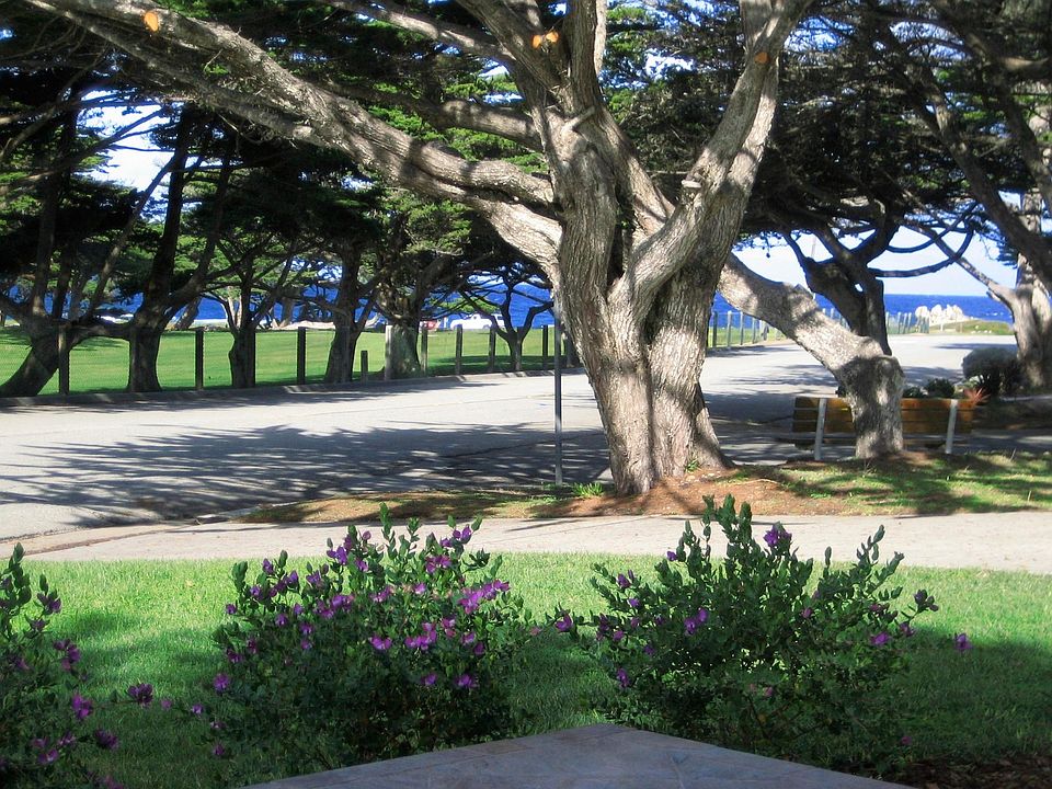 View from the front patio