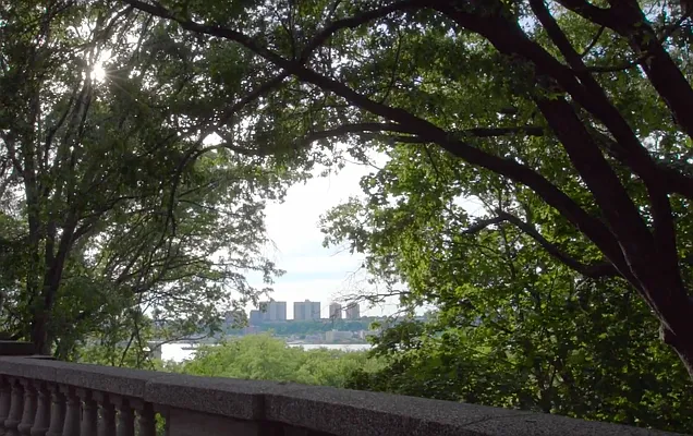 Rented by Compass | media 17