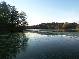 Rented by Space Real Estate