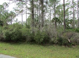 103 Slumber Meadow Trl, Palm Coast, FL 32164