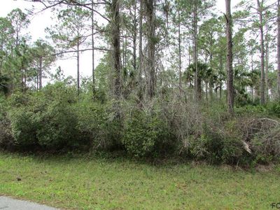 103 Slumber Meadow Trl, Palm Coast, FL, 32164