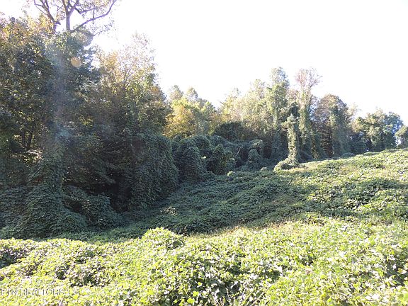 3rd image of 8548 Zinc Rd