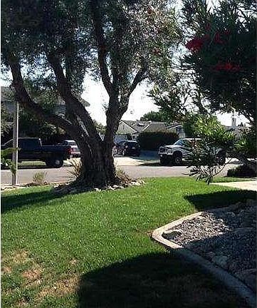 5th image of 8494 Garden St
