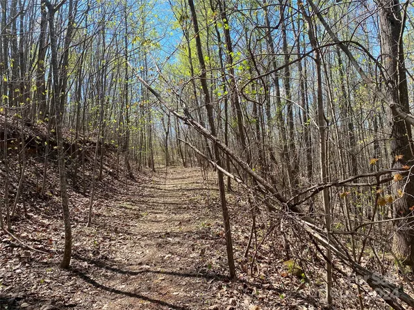 Lots 8 9 Wild Horse Dr, Nebo, NC 28761