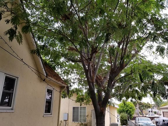 2nd image of 20709 Kenwood Ave