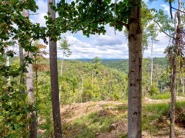 930 Myna Dr, Ellijay, GA 30540