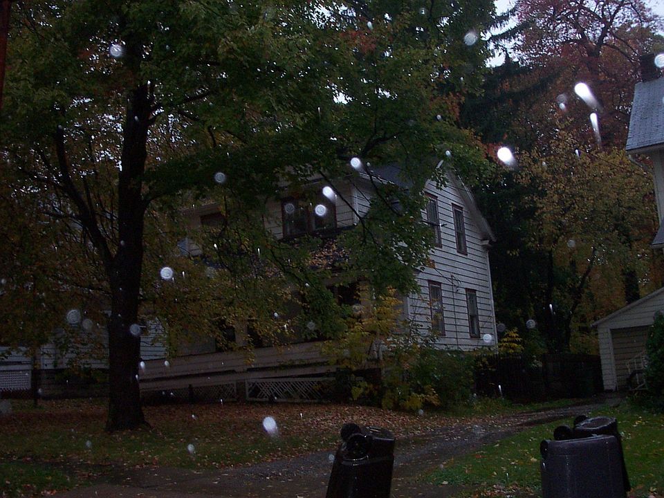 1st image of 164 Lauderdale Ave