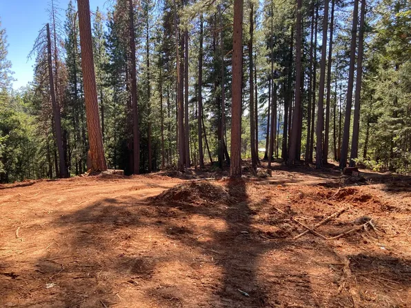 3056 Moody Ridge Rd, Gold Run, CA 95717