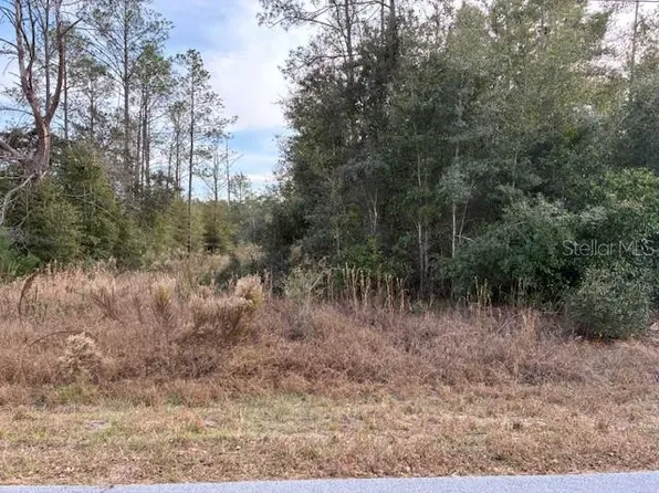 0 SW Cardinal Ave Lot 17, Dunnellon, FL 34431