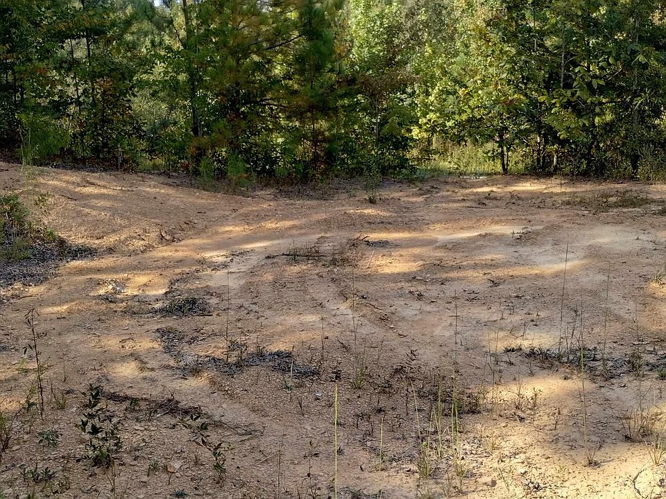 2nd image of 70 County Road 1516 Lot 2