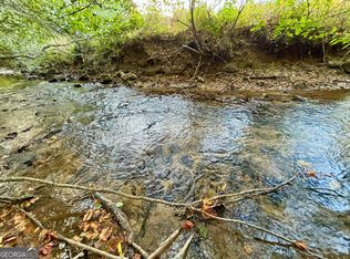 4AC Rainey Valley Ln, Morganton, GA 30560