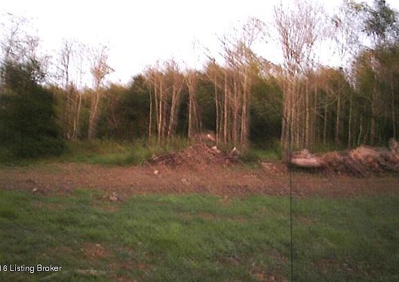 4th image of 0 Boswell Ln