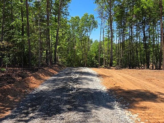 2nd image of Vein Mountain Rd #5