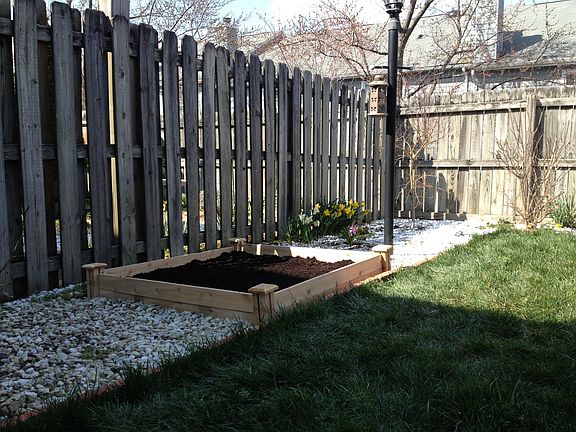Back Garden