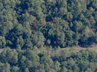 2119 W Pinegrove Dr #13, Dunnellon, FL 34434