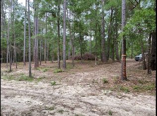 4135 SW 156th Ave, Ocala, FL 34481