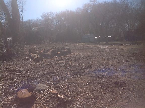 No lot clearing required