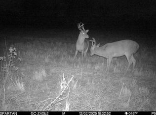 W Mill St, Georgiana, AL 36033