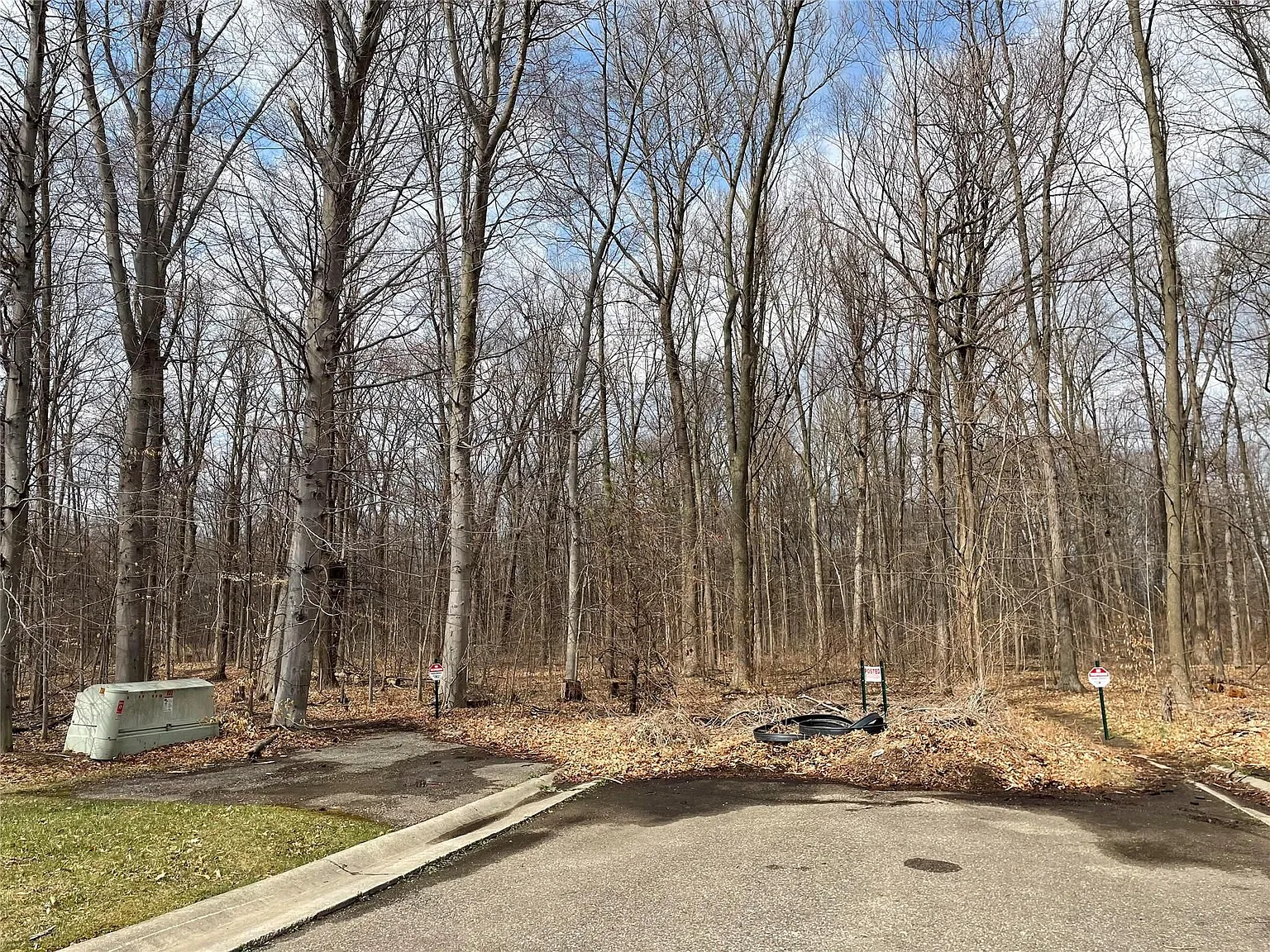 0 E Kings Fairway Ln photo 1