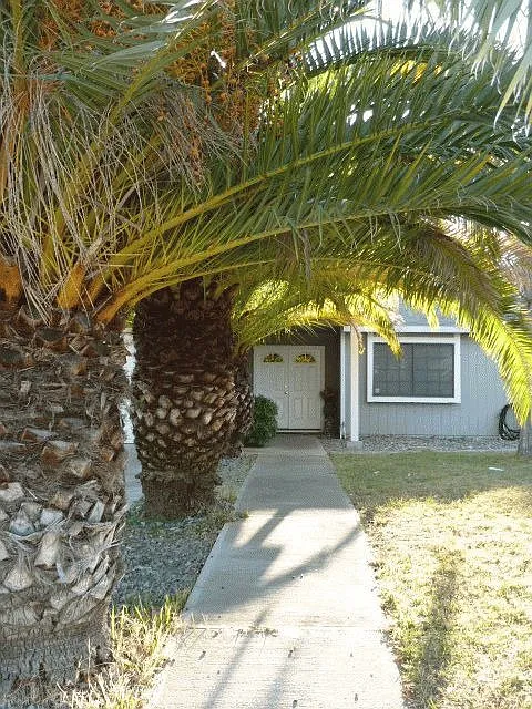 8736 Crystal River Way photo 1