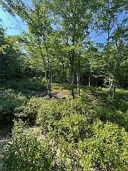 2nd image of 377 Old Stage Road