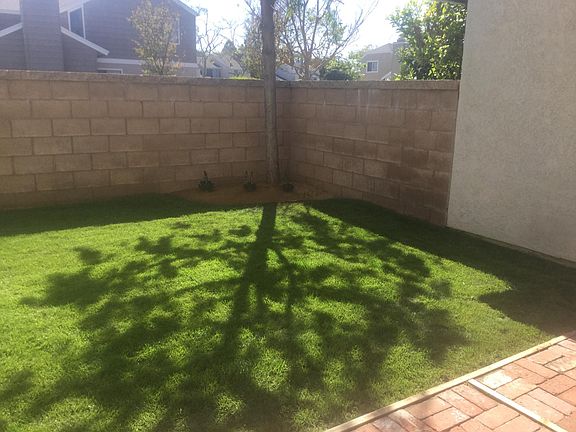 Side Yard