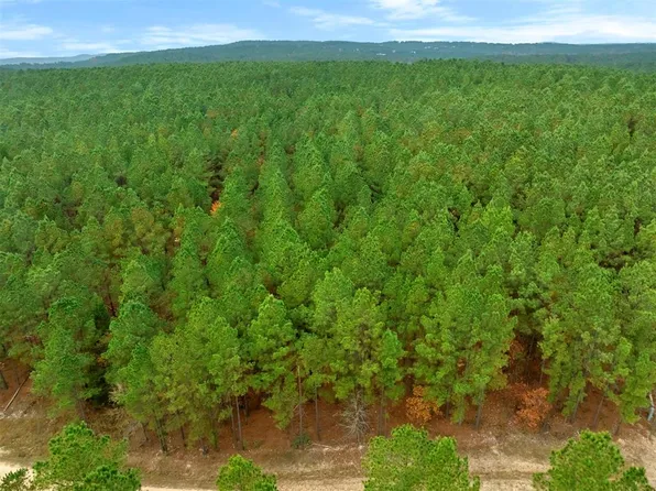 17 Hochacedar Trl Lot 127, Broken Bow, OK 74728