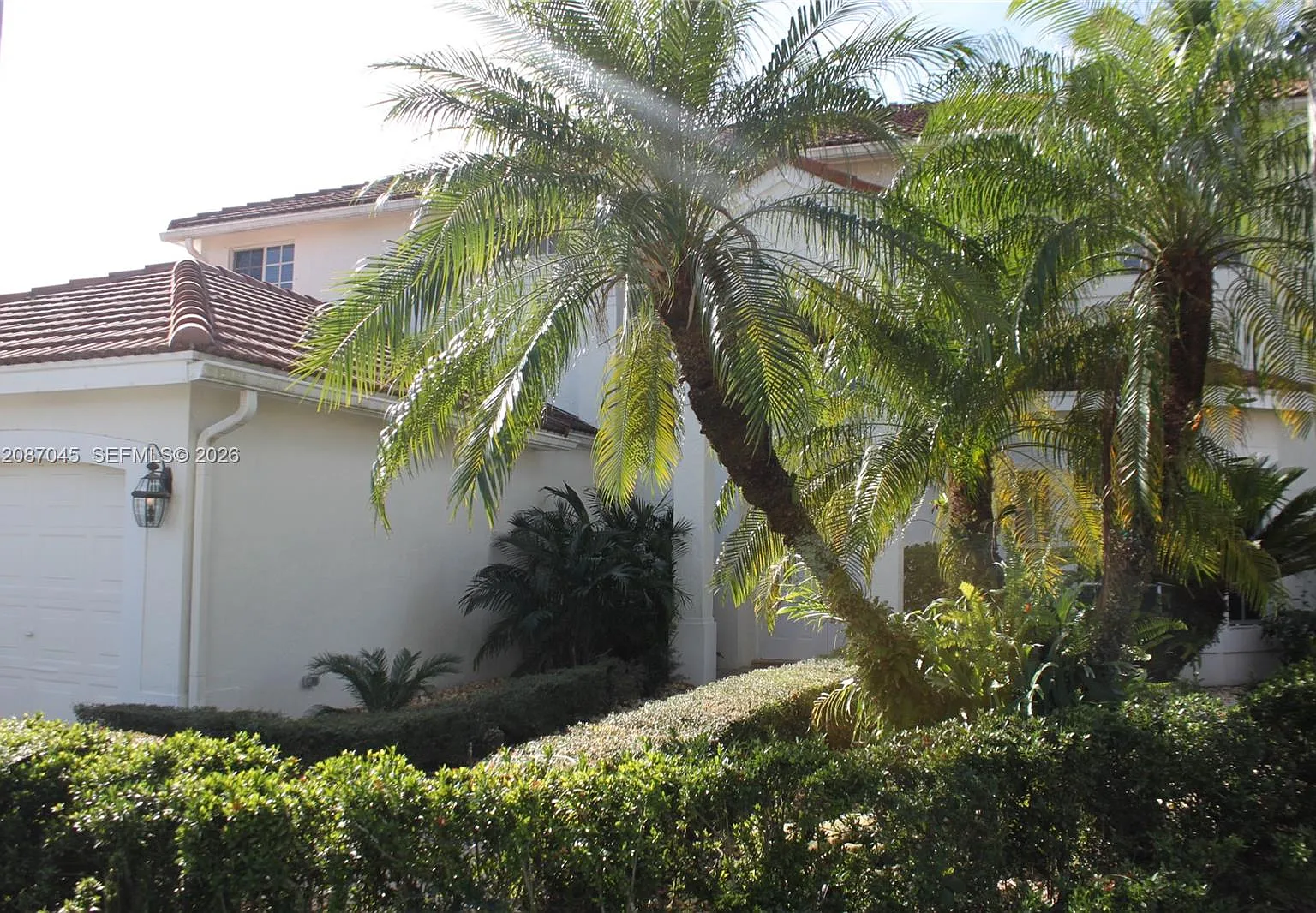 Jardin — Photo 3