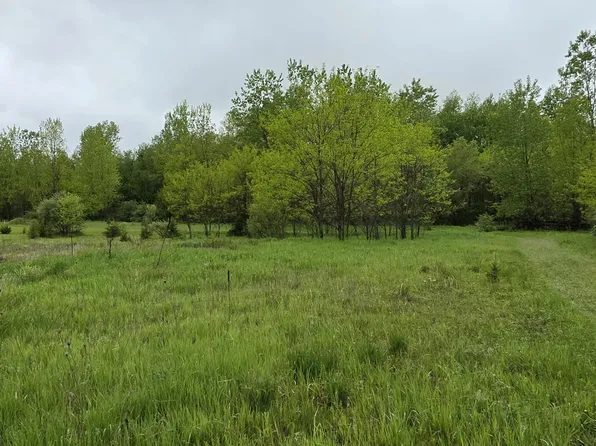 Saint Clair Cir, Brooklyn, MI 49230