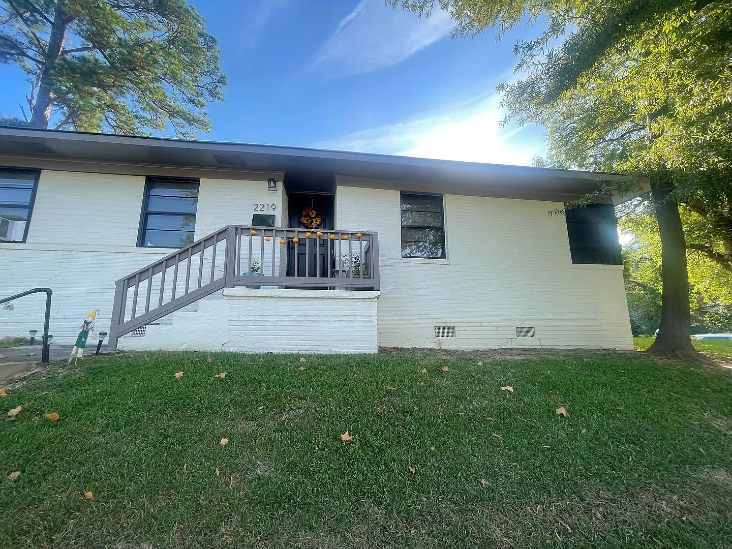 Highland Charmer! Come see Today! — Photo 2