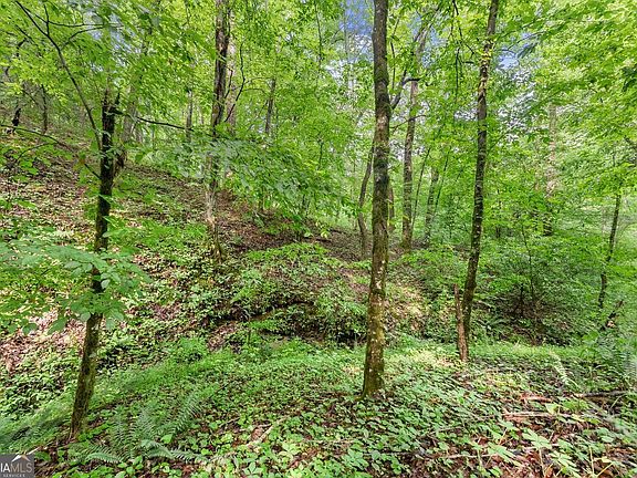 5th image of 0 Long Branch Rd Lot 120
