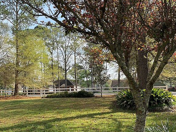 Front yard from sidewalk 