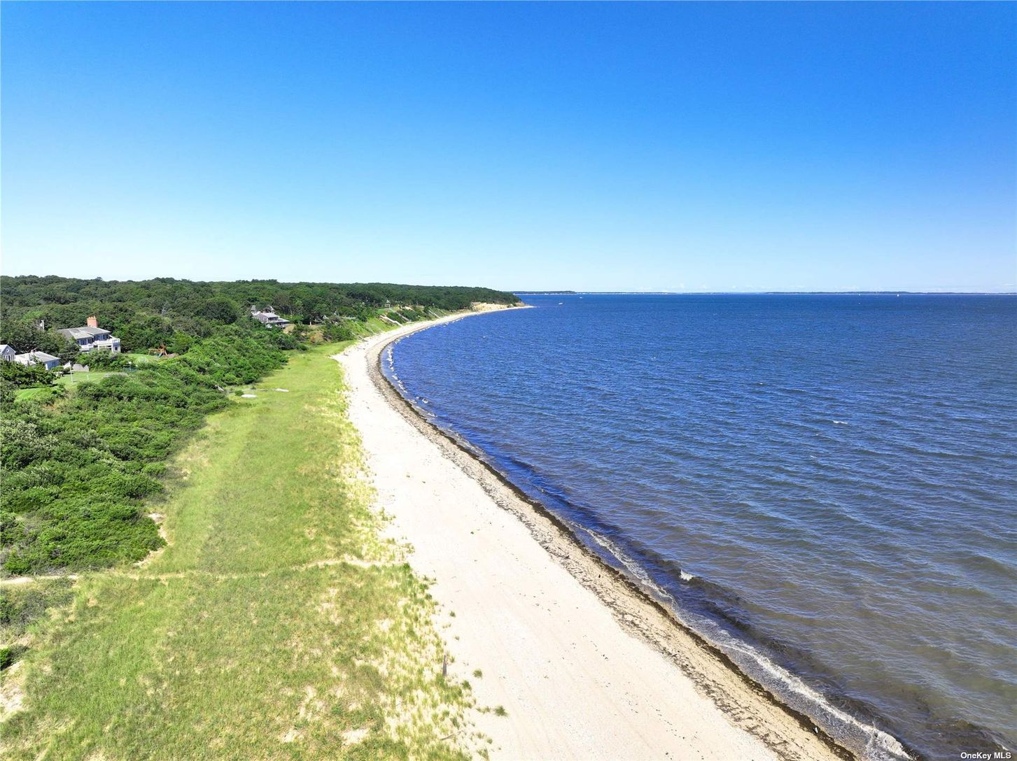  One and only Sammy's Beach